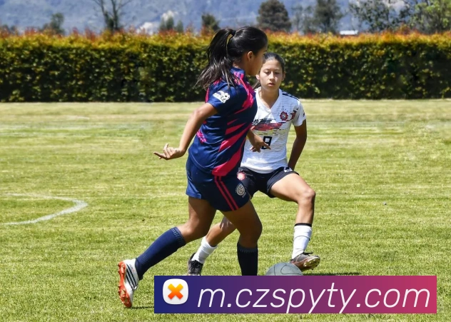 云开手机版登录入口APP 封面图